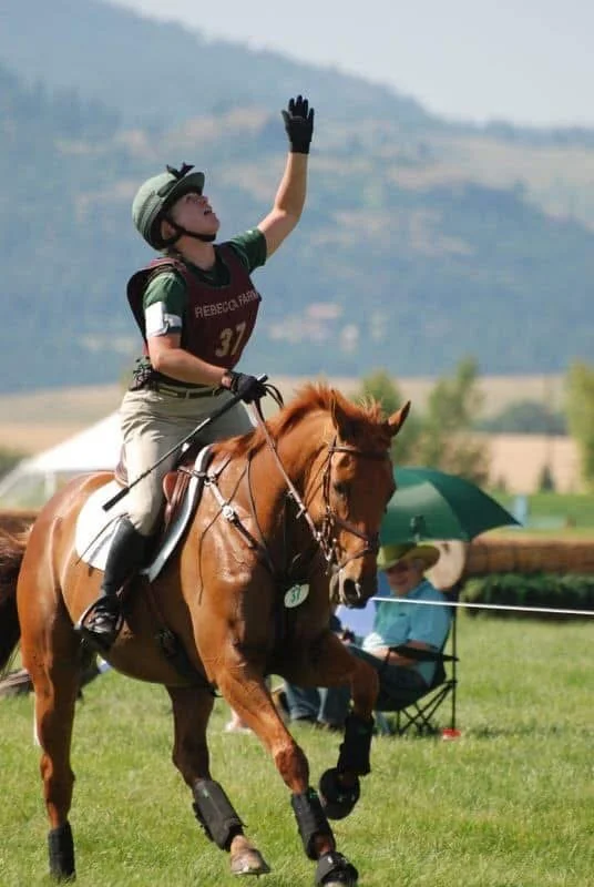 Equine Training