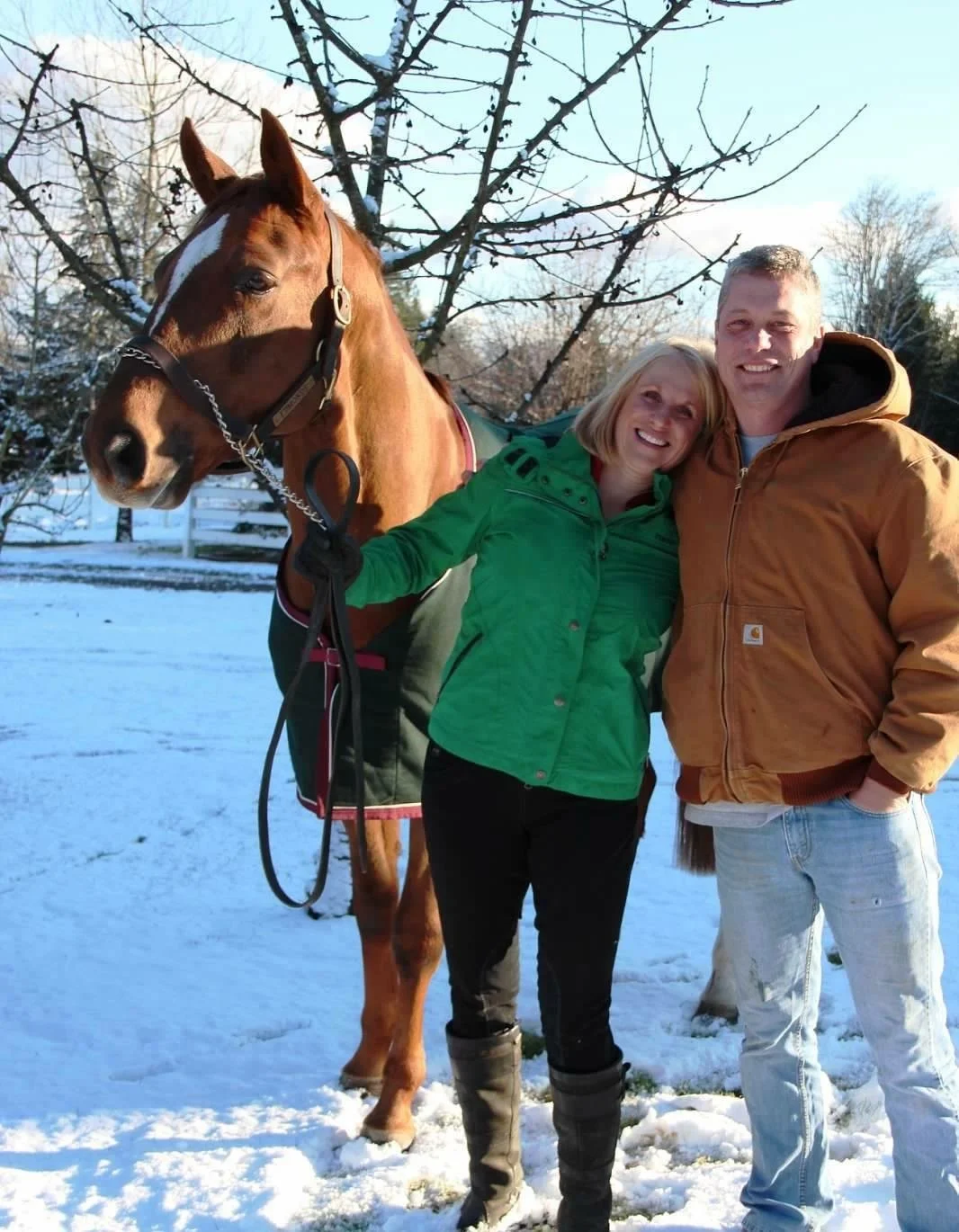 Horse Care