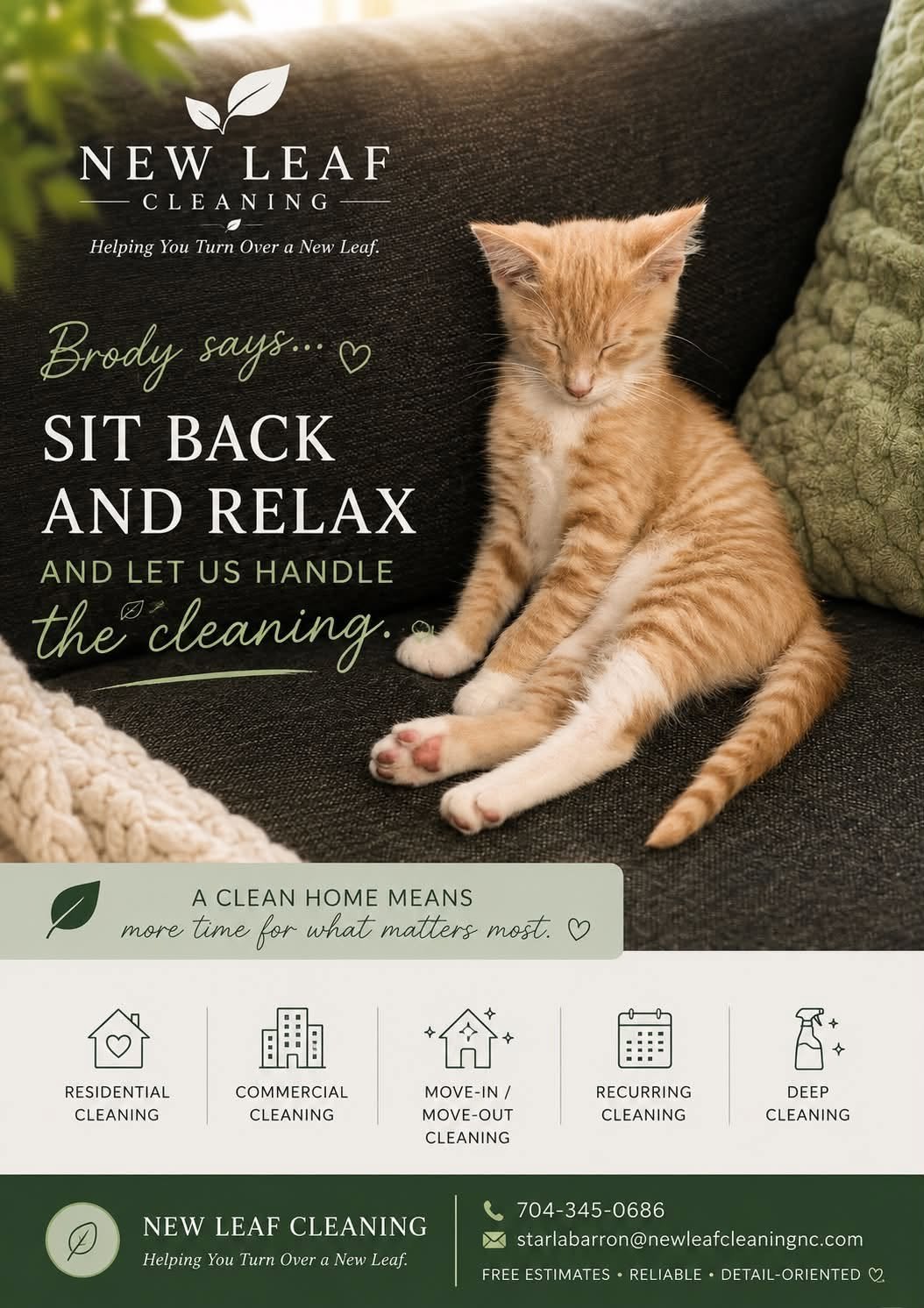 advertisement for New Leaf Cleaning featuring a sitting orange and white kitten with closed eyes on a dark couch, surrounded by green and beige textured cushions, with text about cleaning services and contact information.