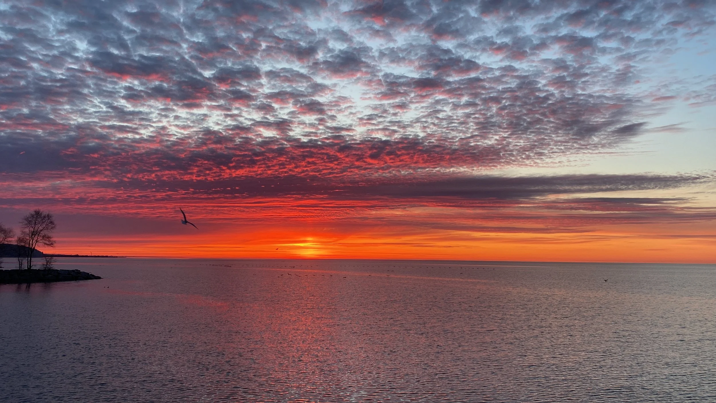 A sunset over a body of water with a sky full of colorful clouds in shades of pink, purple, orange, and blue. Silhouetted trees and a bird flying are visible in the foreground.