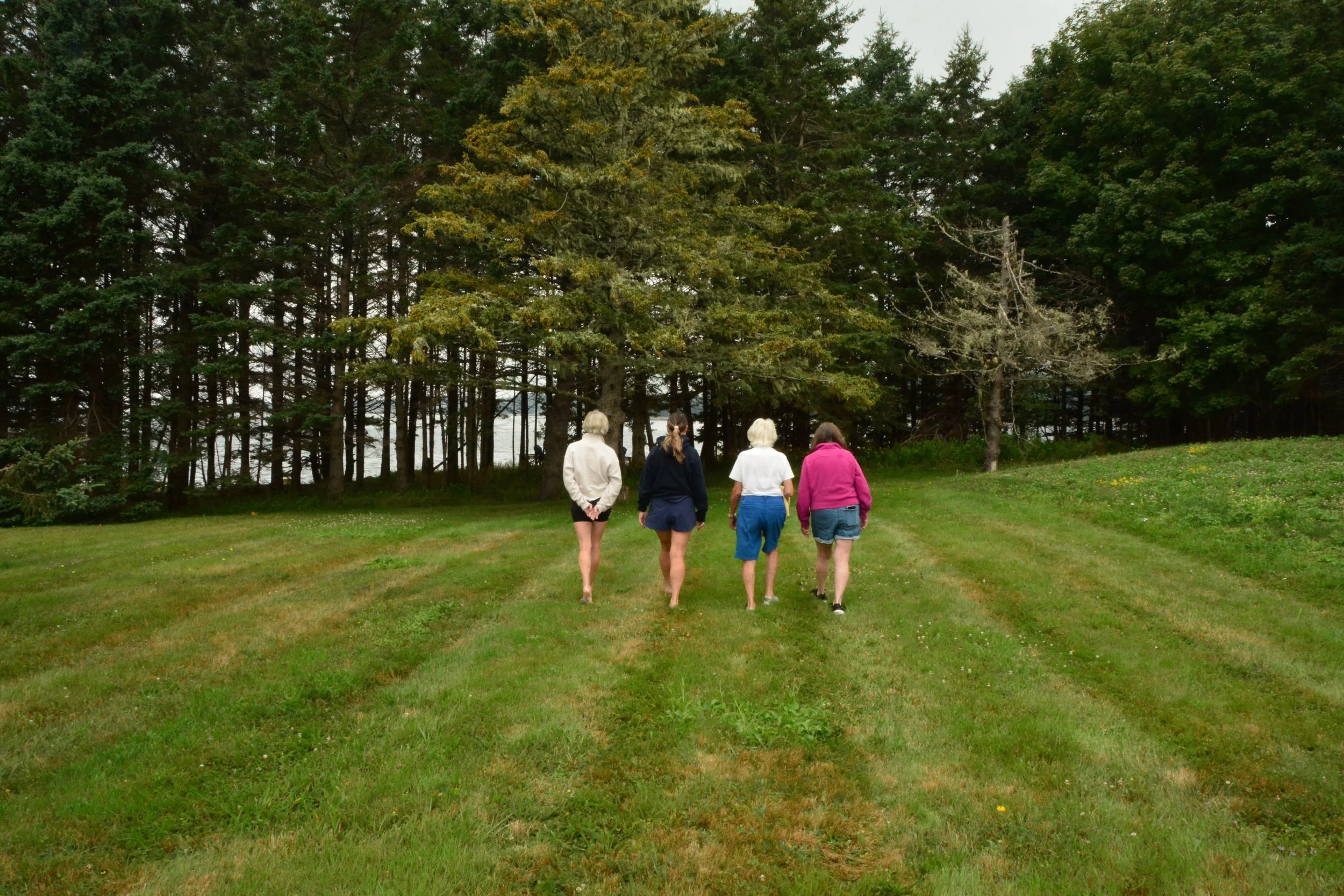 Four women walking on a grassy field with trees in the background.