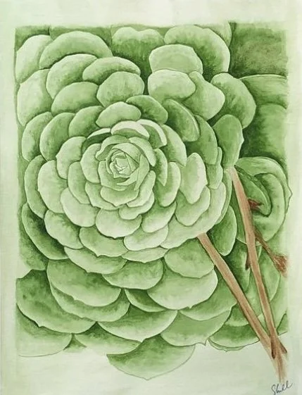 Succulent Serenity