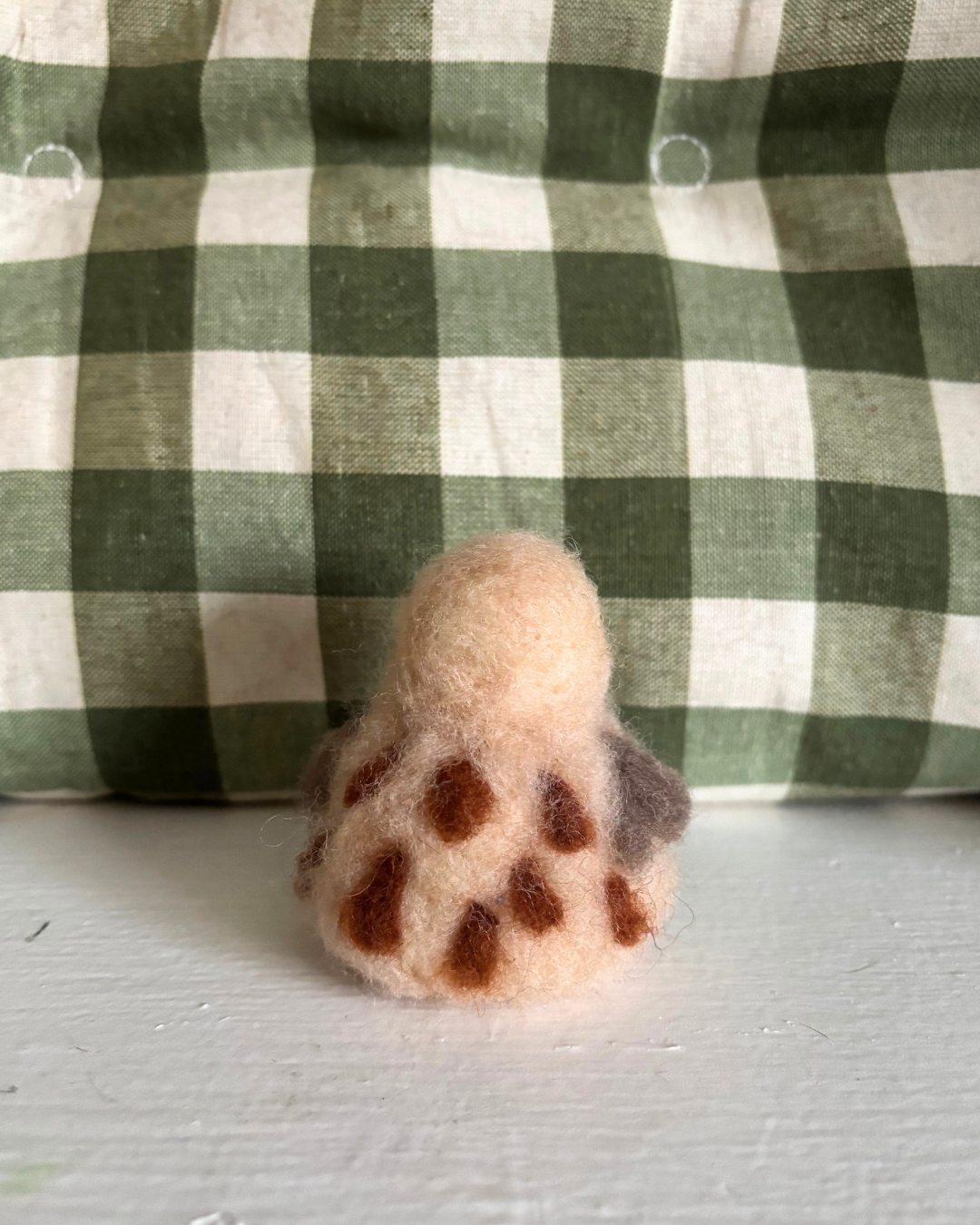5.png