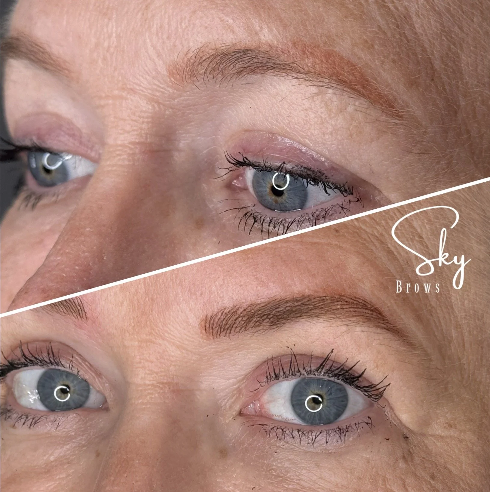 Close-up of several pairs of eyes showcasing well-groomed eyebrows and eyelashes, with a blurred background.