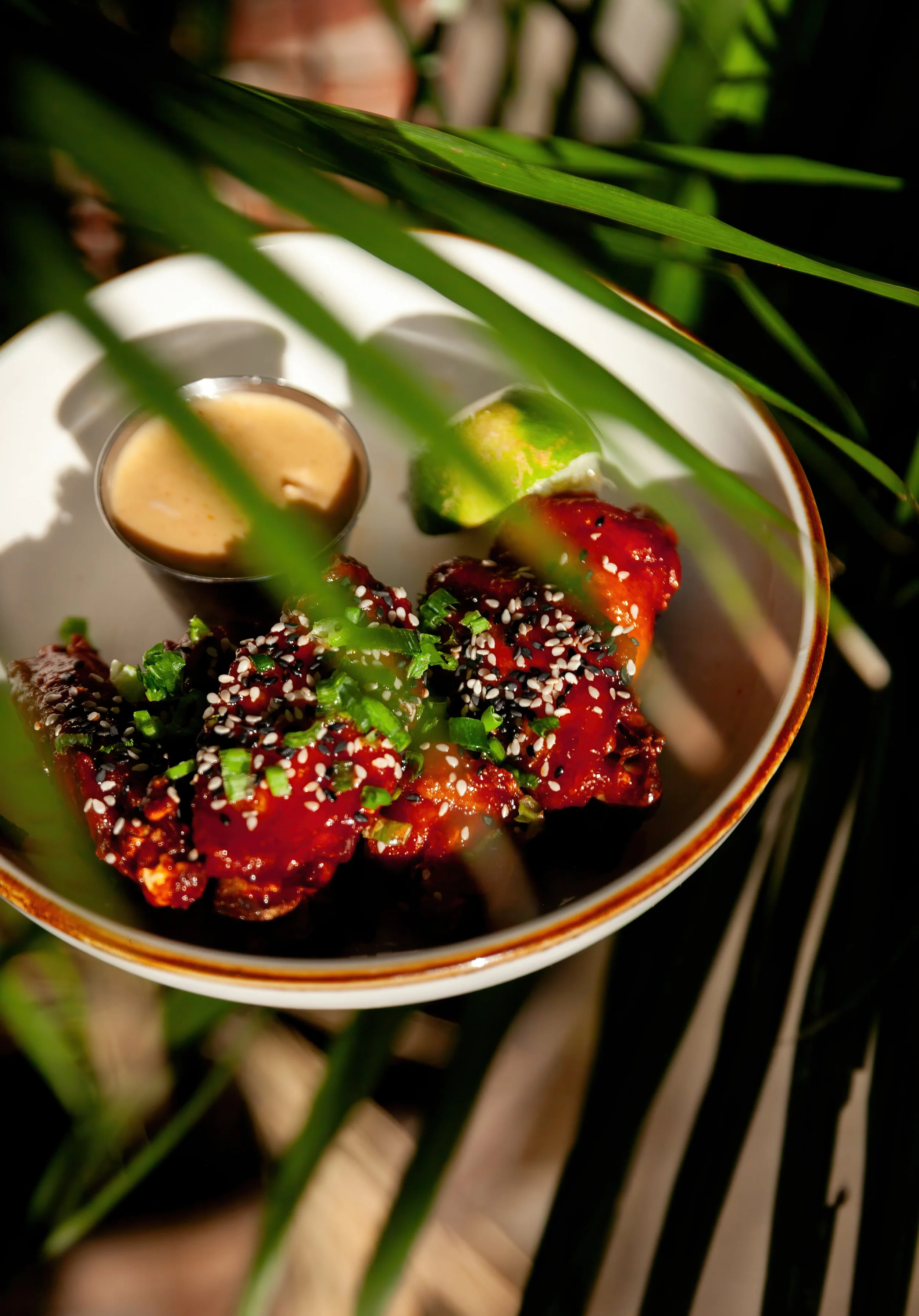 Close-up of an Asian-inspired dish in a bowl, featuring glazed chicken garnished with sesame seeds and chopped green onions, with a side of sliced cucumber, served on a white plate, partially obscured by green plant leaves, set outdoors.