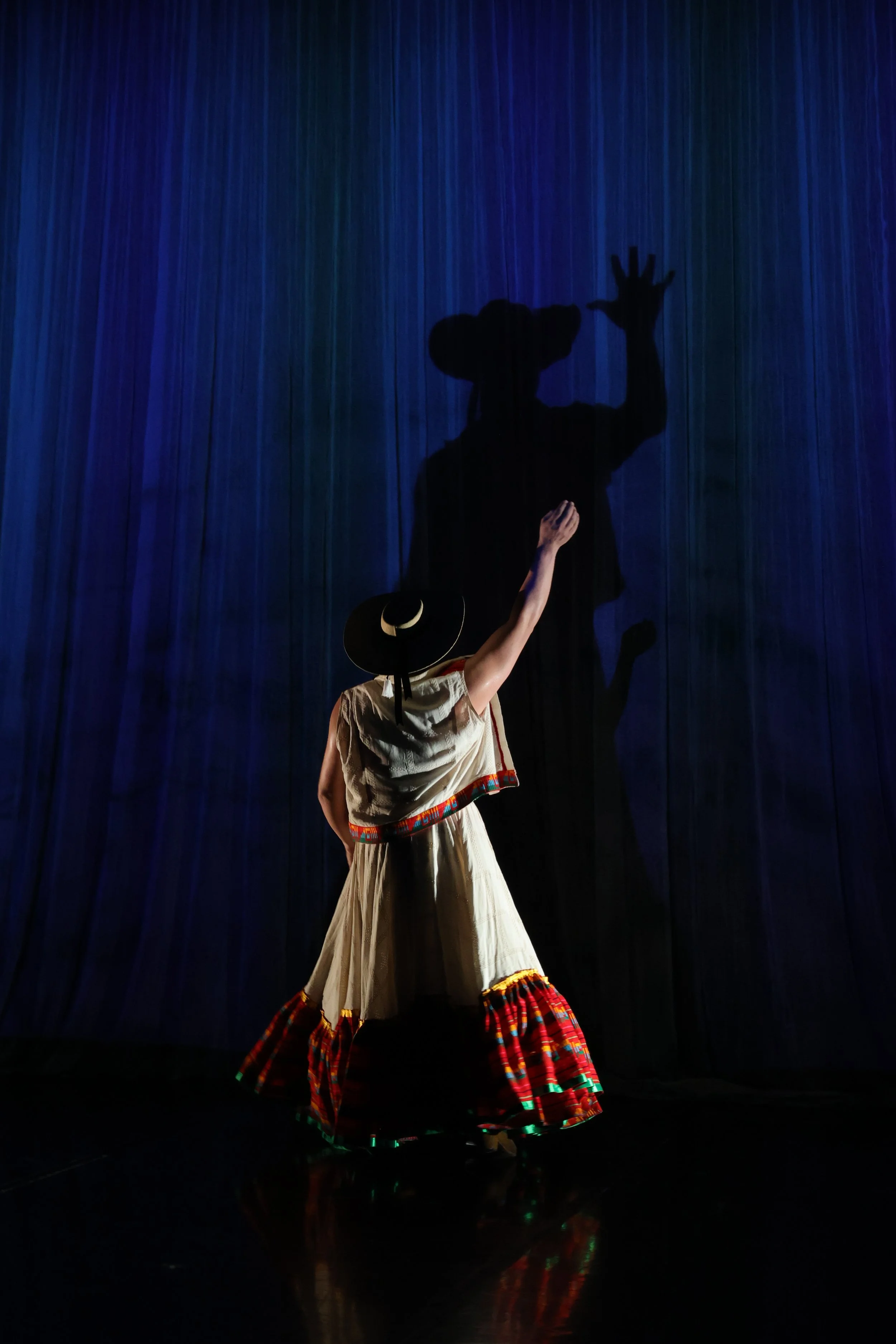 A woman dressed in traditional clothing, including a long skirt with red, green, and yellow patterns, performs a dance on stage in front of a dark blue curtain. Her shadow is projected on the curtain behind her. She wears a large black hat with a white band and is raising her right arm.
