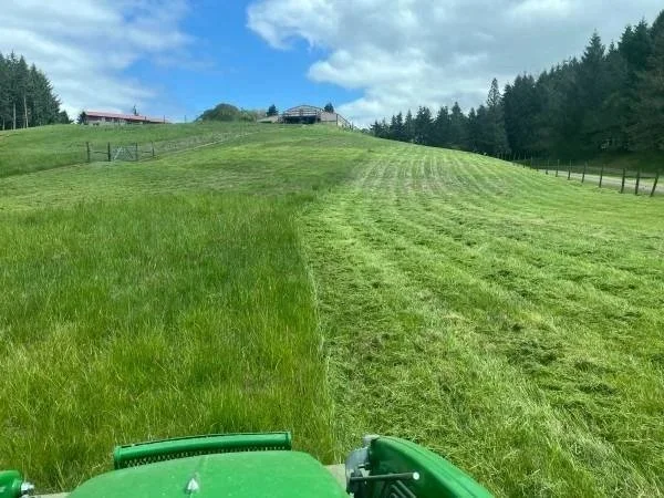 A green tractor mowing a hillside with lush green grass and a forested background under a partly cloudy sky.