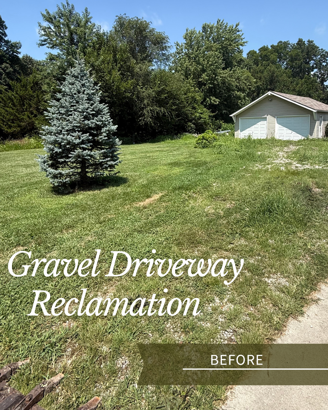 A grassy yard with a small blue spruce tree, a garage in the background, and a gravel driveway. Text overlay reads 'Gravel Driveway Reclamation' and 'BEFORE'.