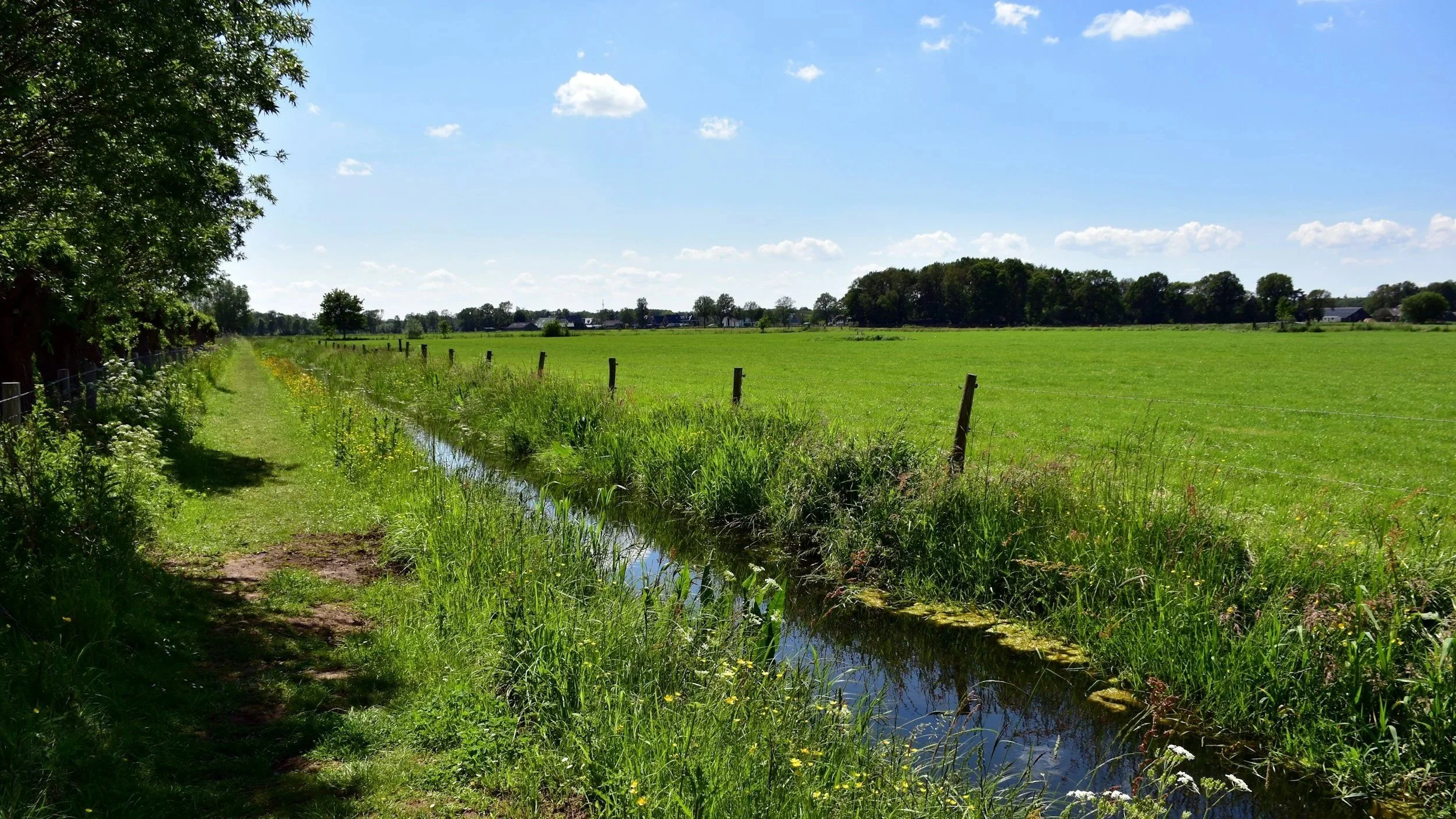 A grassy trail runs alongside a narrow canal in a rural area, with green fields and trees in the background under a blue sky with scattered clouds.
