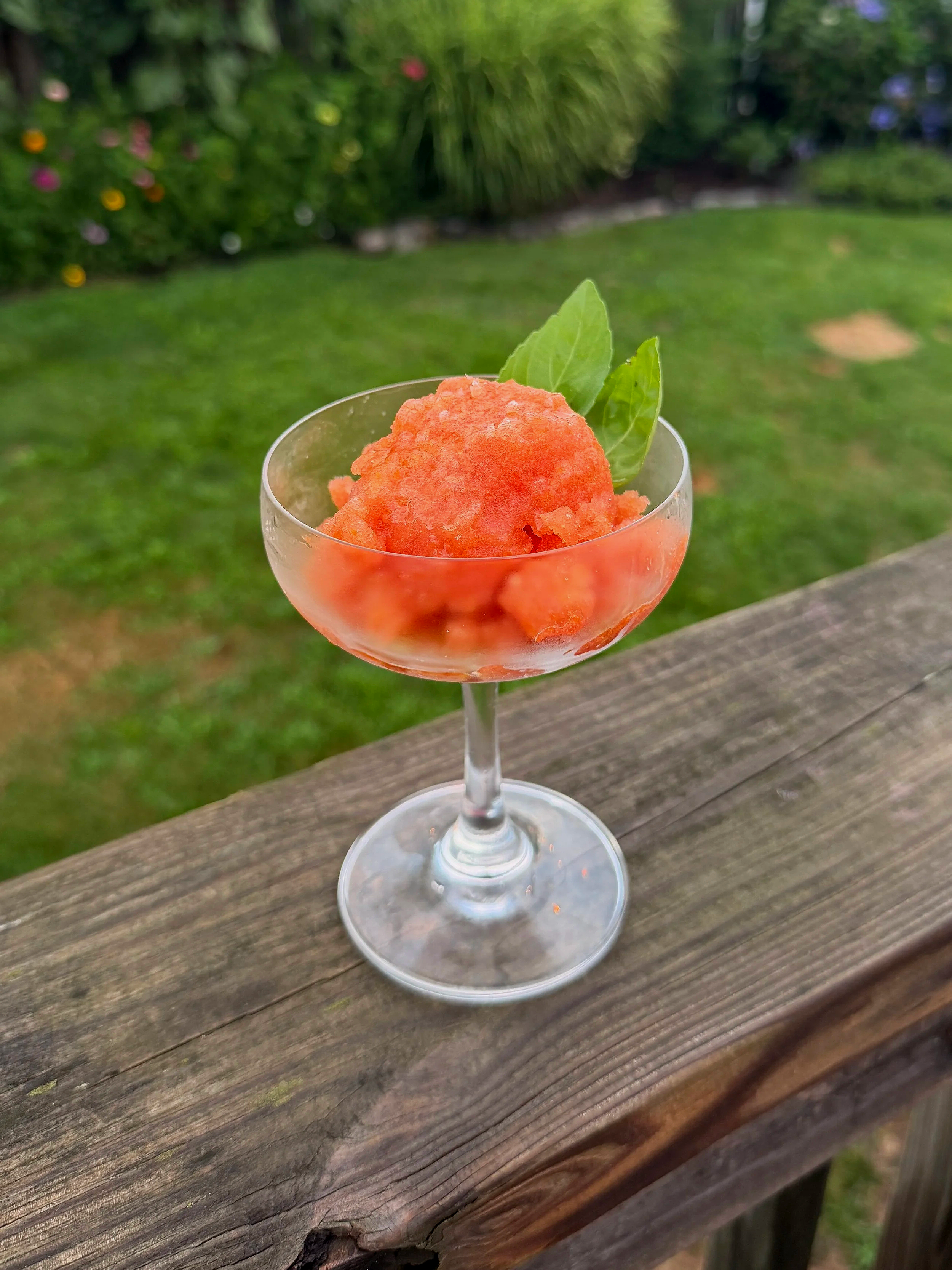 tomato sorbet