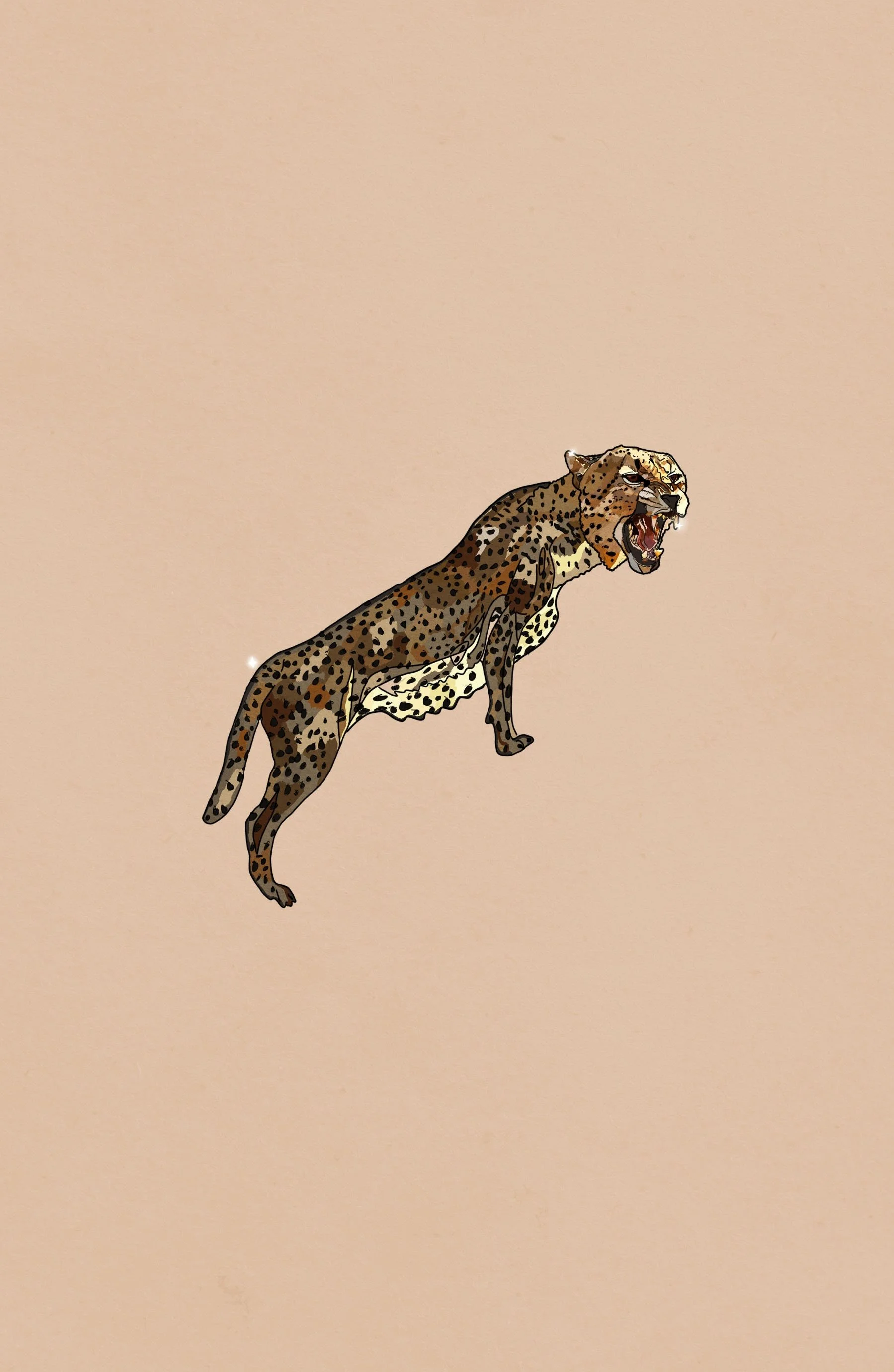 cheetah 3.jpg