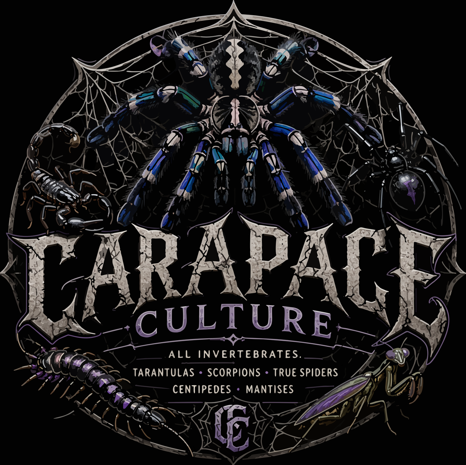 Carapace Culture