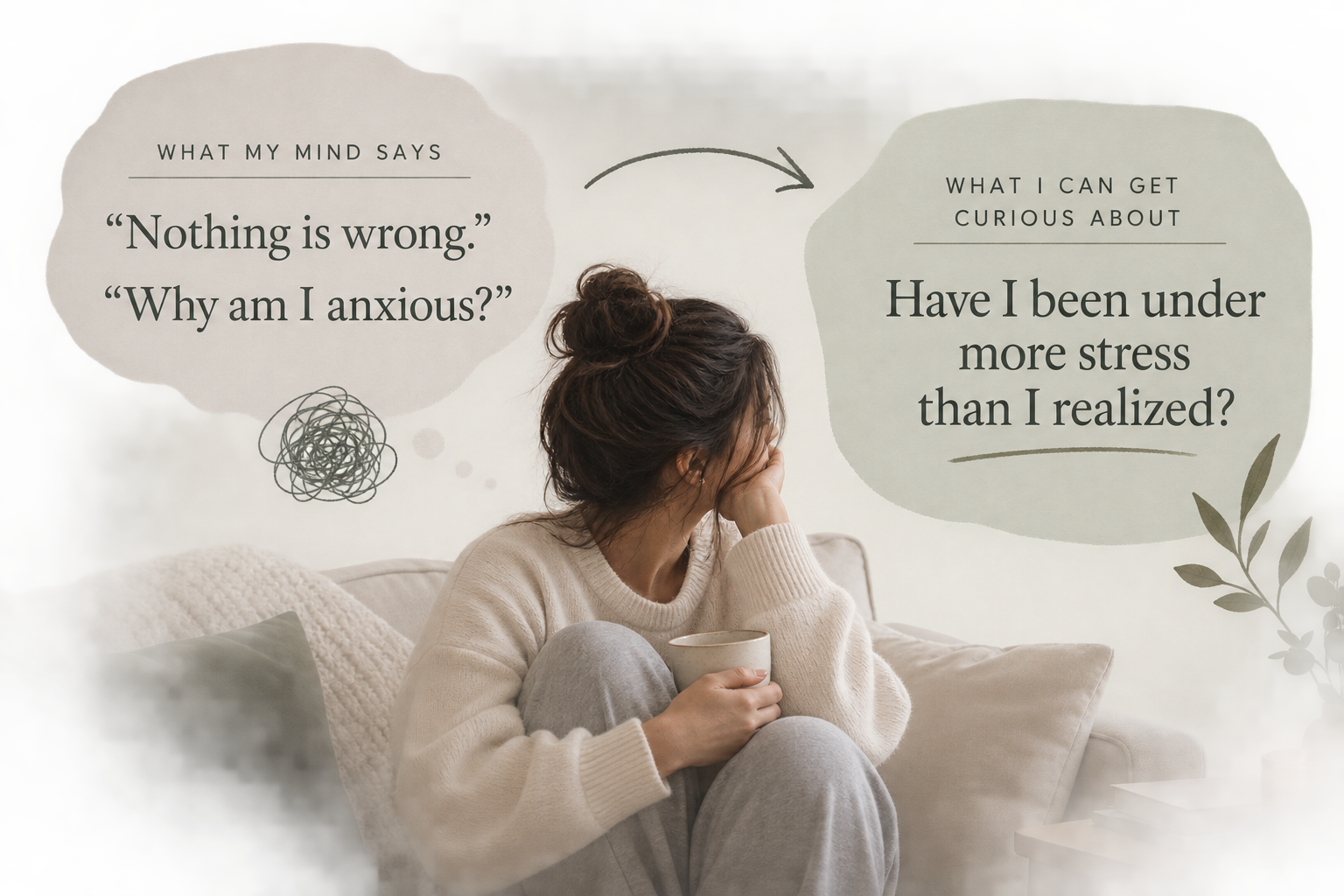 Anxiety graphic comparing “Nothing is wrong. Why am I anxious?” with the question “Have I been under more stress than I realized?”