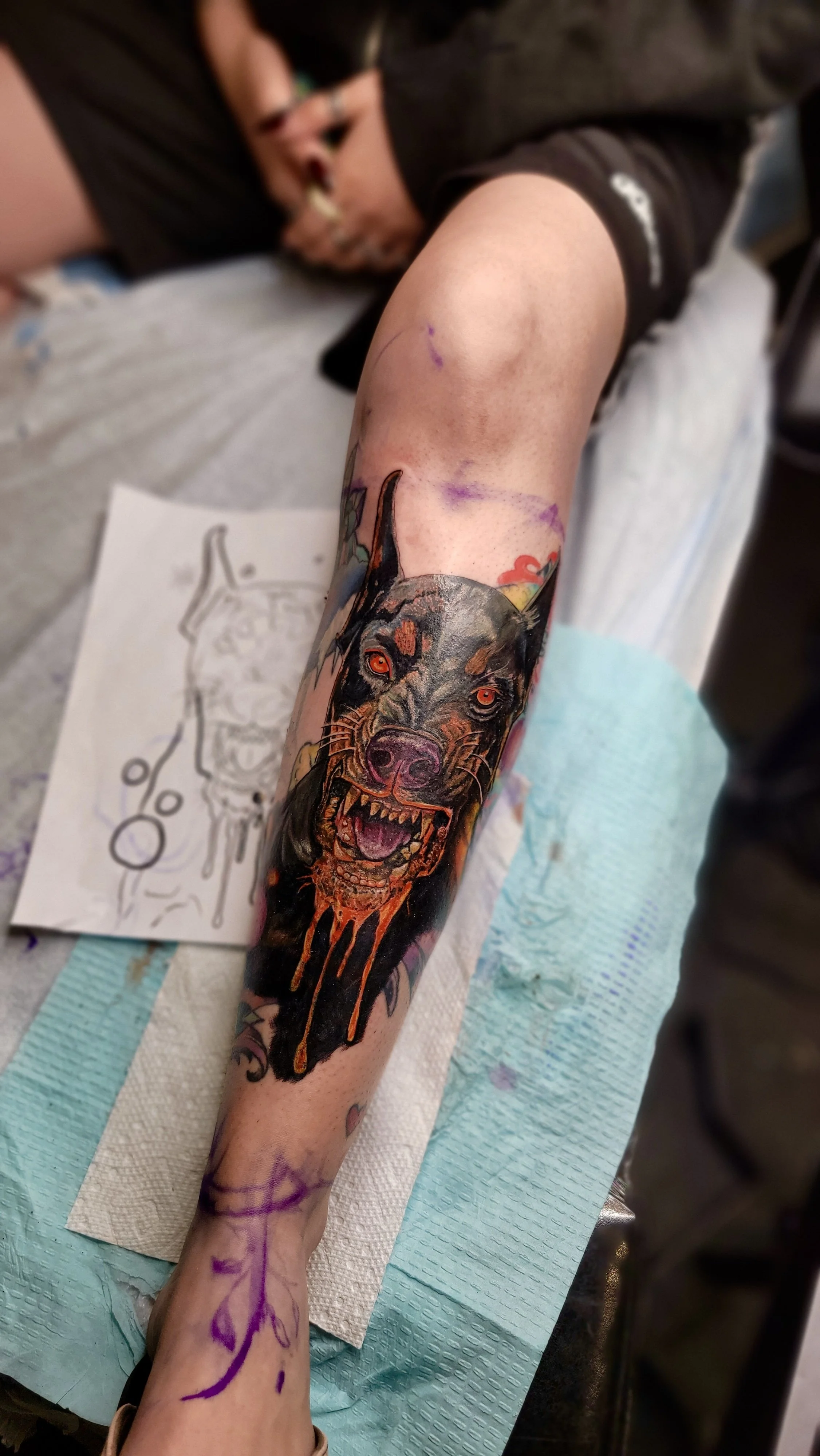 Close-up of a person's arm with a fresh, detailed, and colorful tattoo of a snarling black dog with red eyes and dripping orange accents, being inked in a tattoo shop.