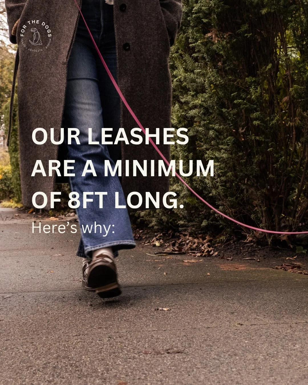 &ldquo;Won&rsquo;t a longer leash just teach my dog to pull?&rdquo;

Eight feet is the minimum I&rsquo;ll make, and I get asked why almost every week. Swipe for the 5 reasons, from pulse rate to body language to how dog&rsquo;s actually learn. 

Leas
