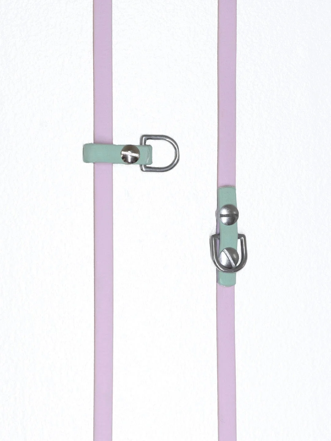 Nickel Everyday 8-Foot BioThane® Leash