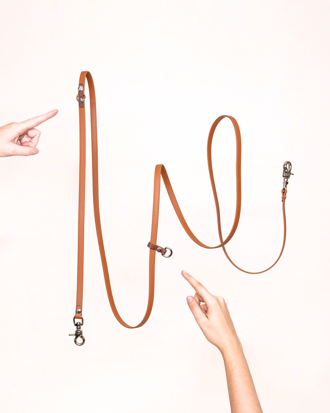 IG edit hanging leash hands pointing details .png