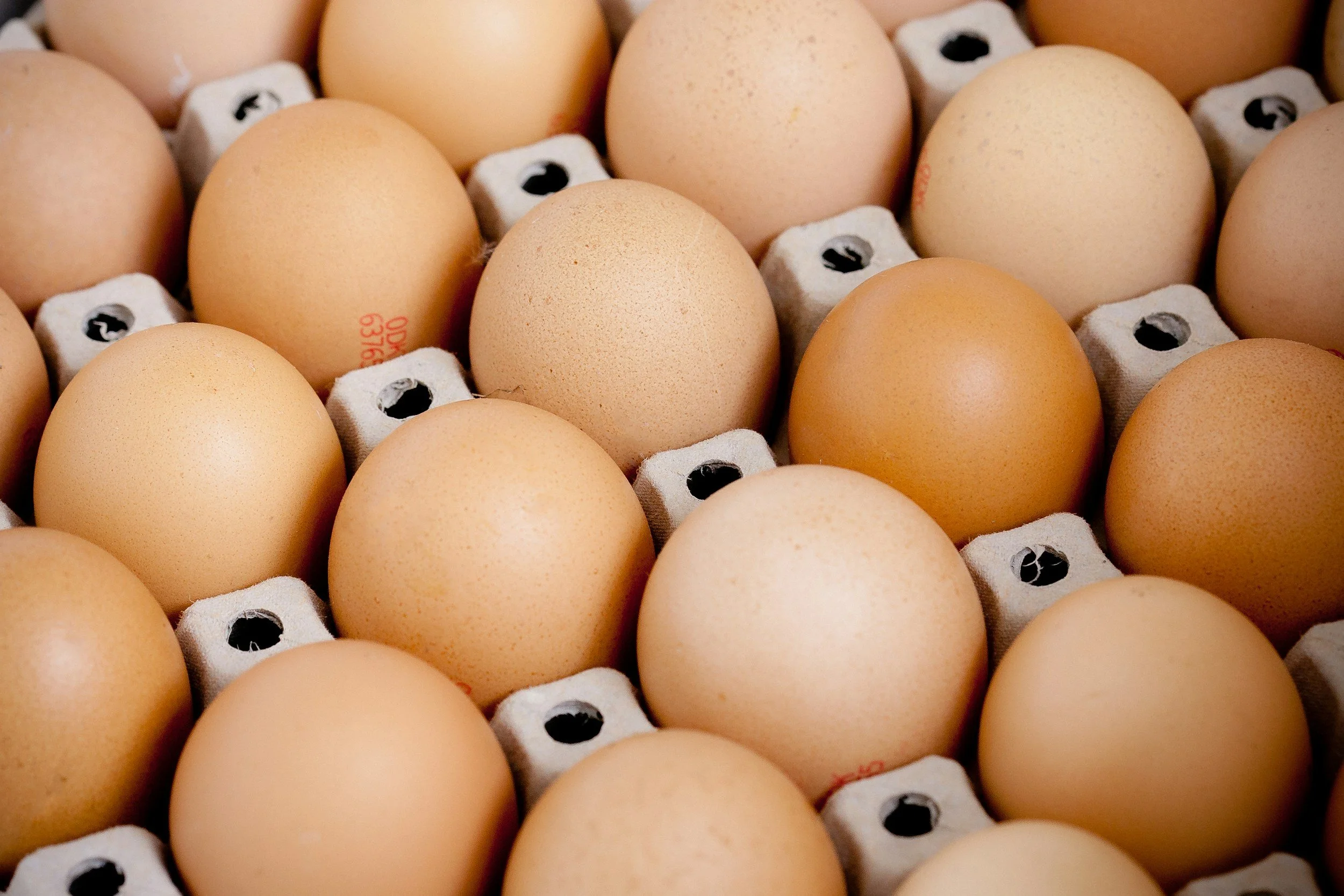 A close-up view of brown chicken eggs arranged in a cardboard egg carton.