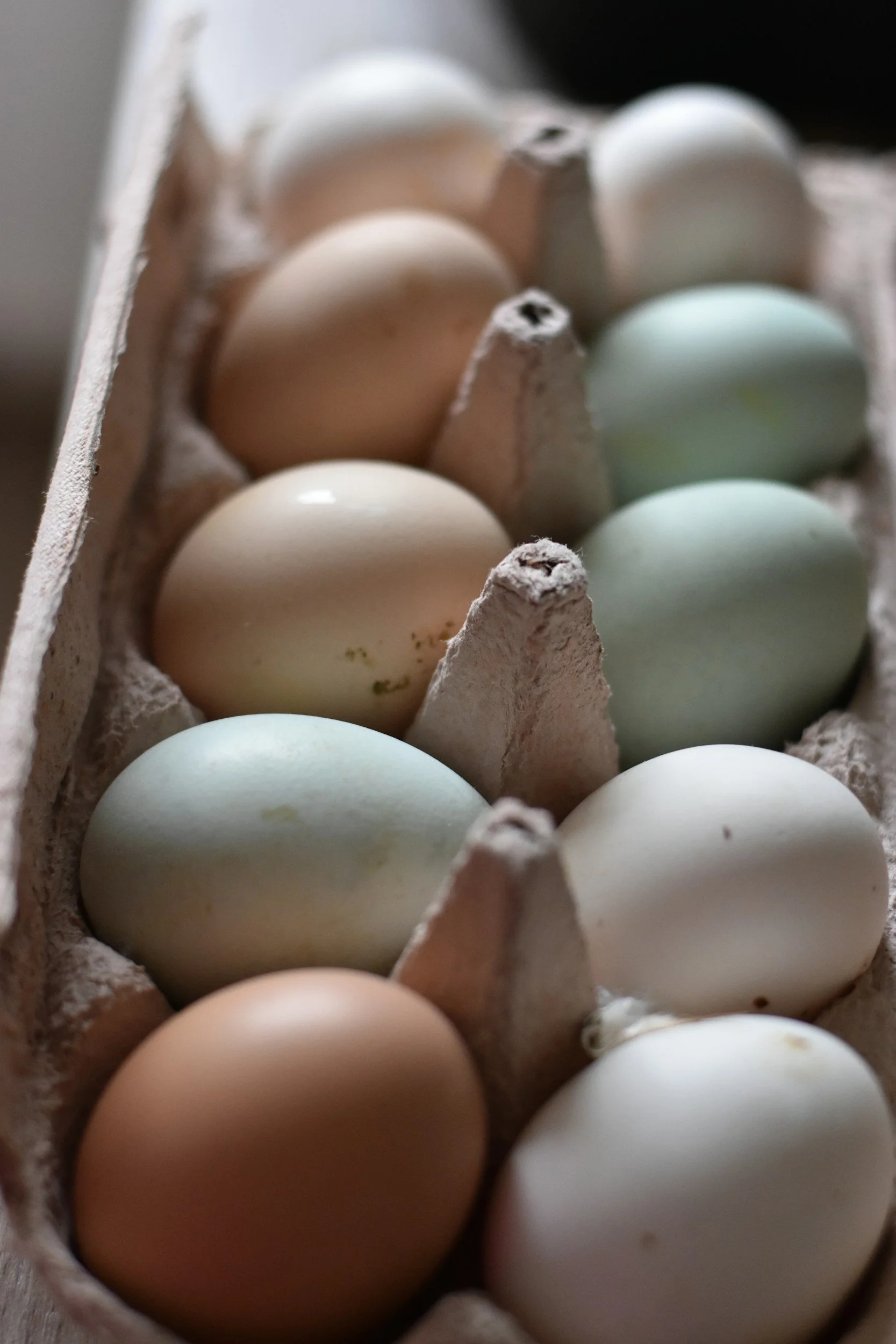 Close-up of an egg carton filled with brown and white eggs.