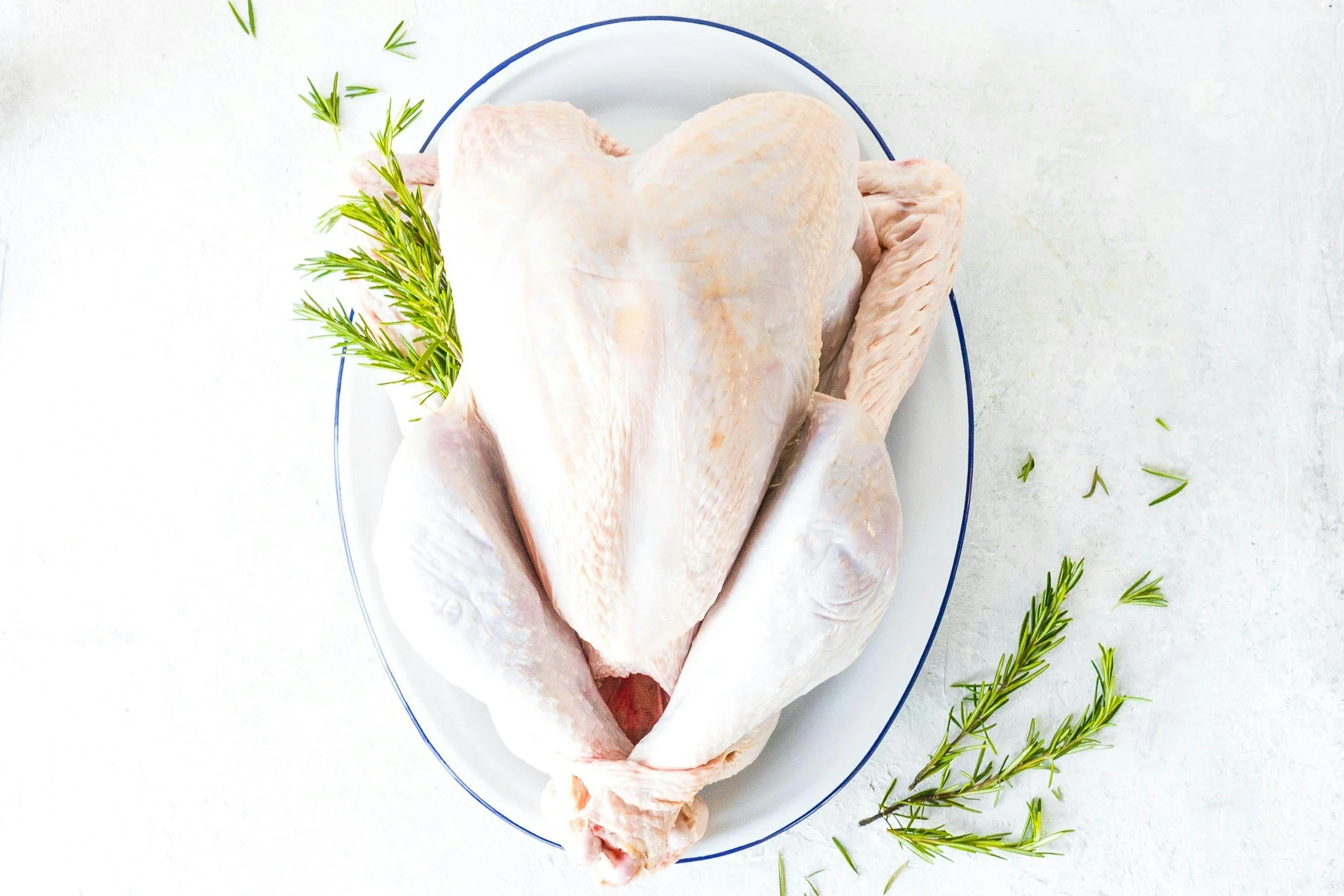 Raw whole turkey on a white plate, garnished with sprigs of rosemary, with additional rosemary sprigs scattered around on a white surface