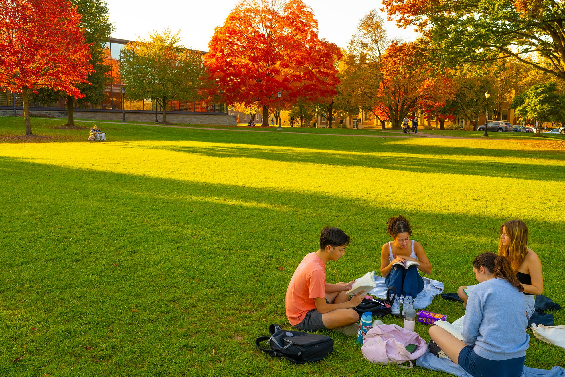 10-23_Campus_Scenics_20242204414210.jpg