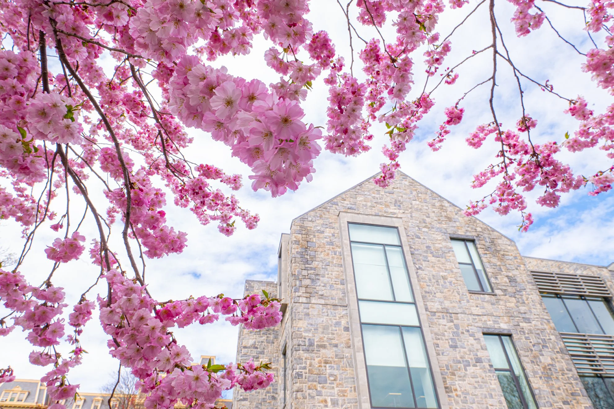 04-04_Campus_Scenics_2024April04151845.jpg