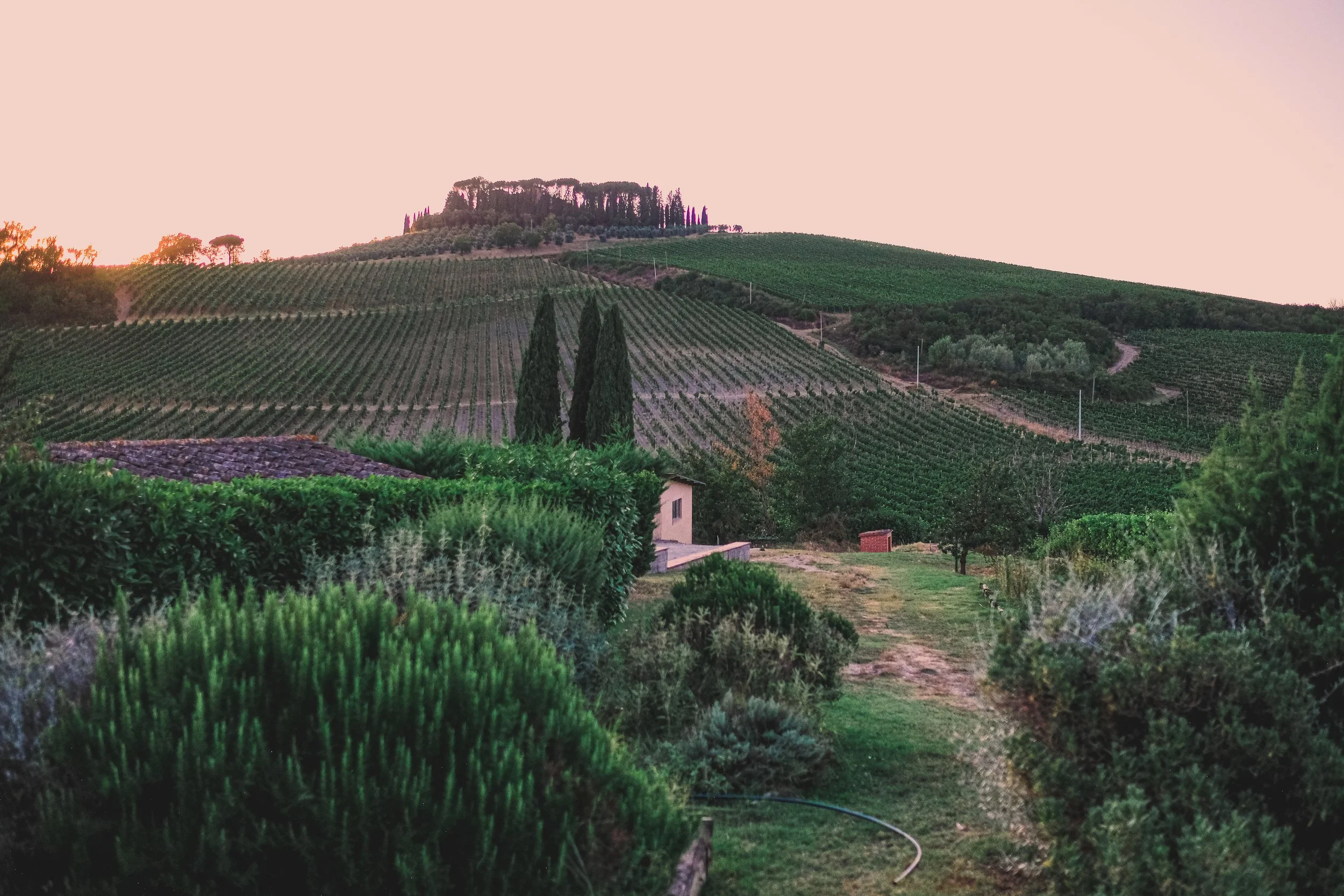 Italy_2023_230808151253-2.jpg