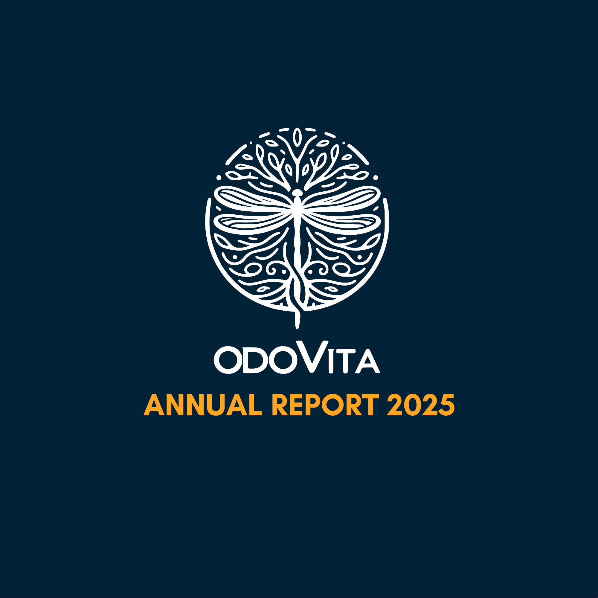 Annual Report 2025