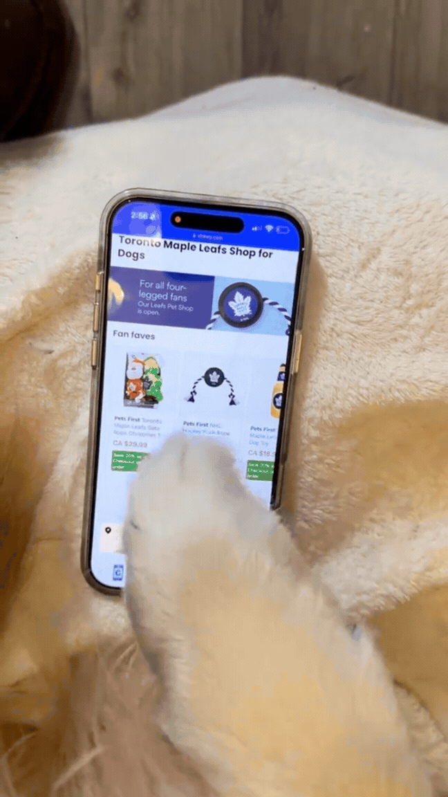 A small dog with light-colored fur is touching a smartphone screen displaying the Toronto Maple Leafs Shop for Dogs website, against a background of a cream-colored blanket.