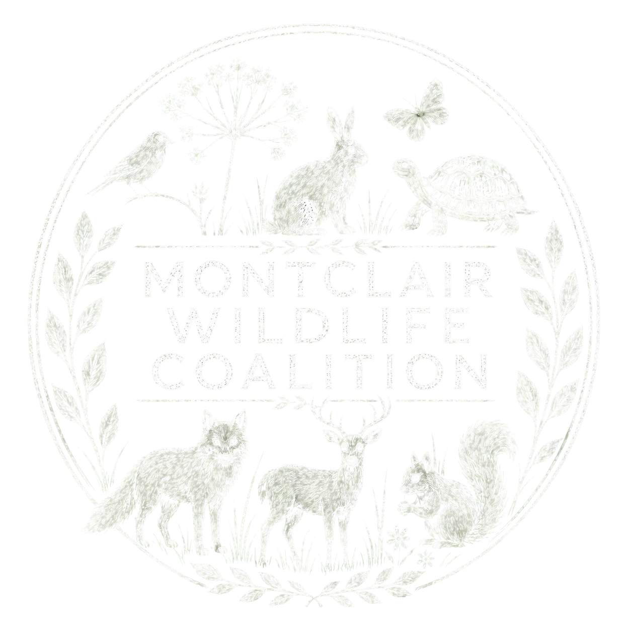 Montclair Wildlife Coalition