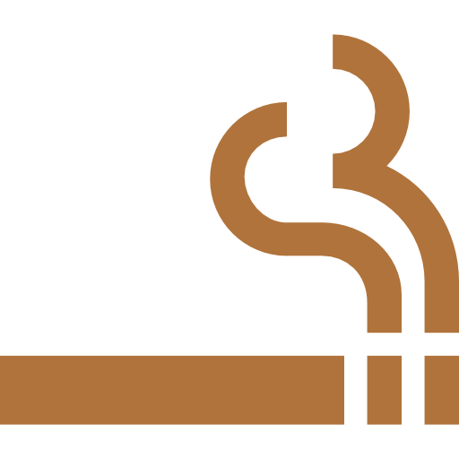 Smoking policy icon
