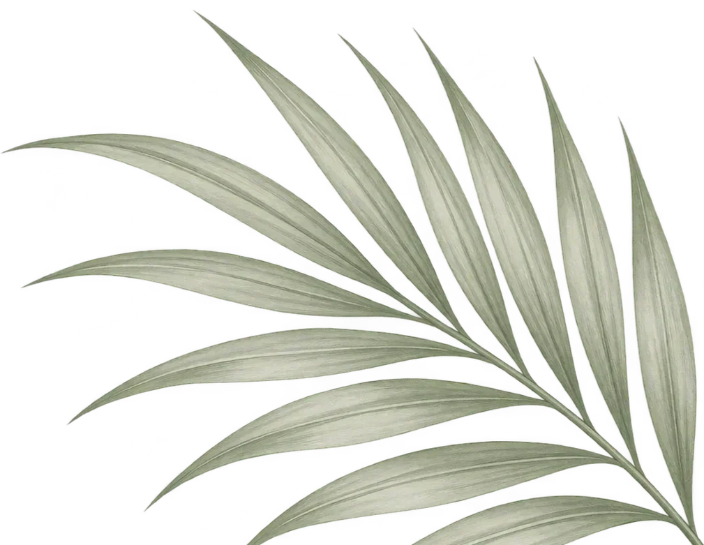 Delicate botanical illustration of a green palm leaf, Caribbean tropical decoration for luxury villa hospitality