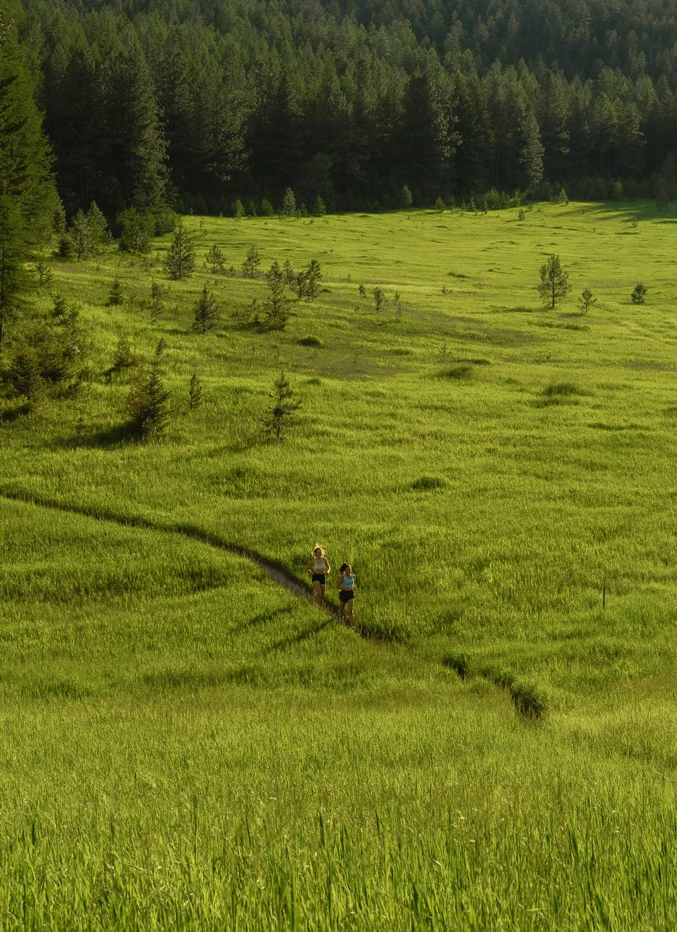 Two people running on a narrow trail through a lush green field with a dense forest in the background.