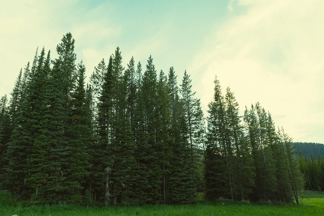 Montana Portrait Photographer | The Genuine Folk