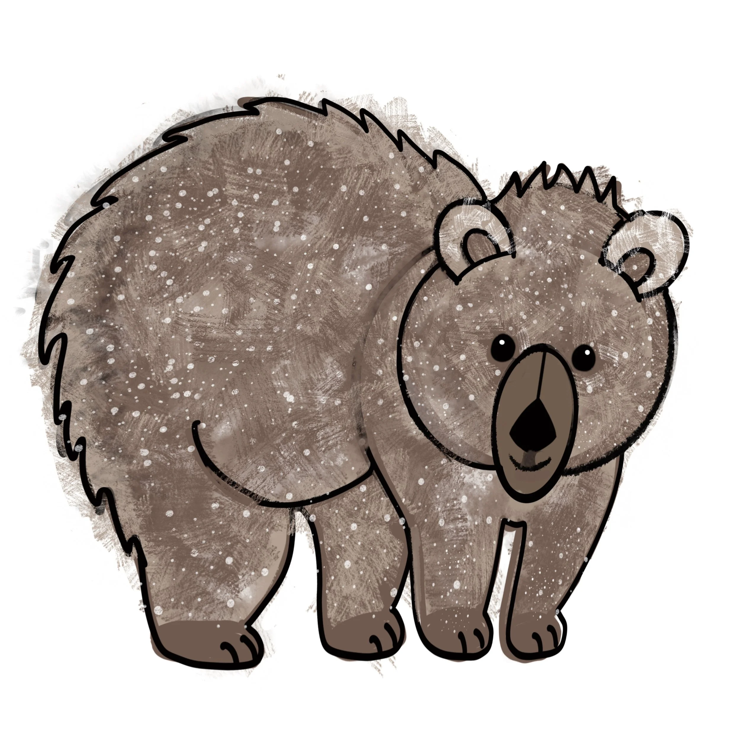 Bear.jpg