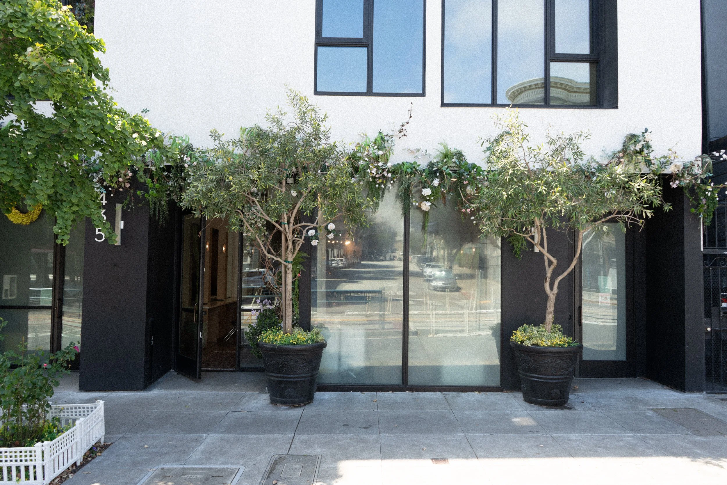 Salon storefront with floor-to-ceiling glass doors and windows, potted trees flanking the entrance, and lush greenery along the modern facade.