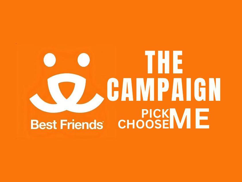 The Campaign