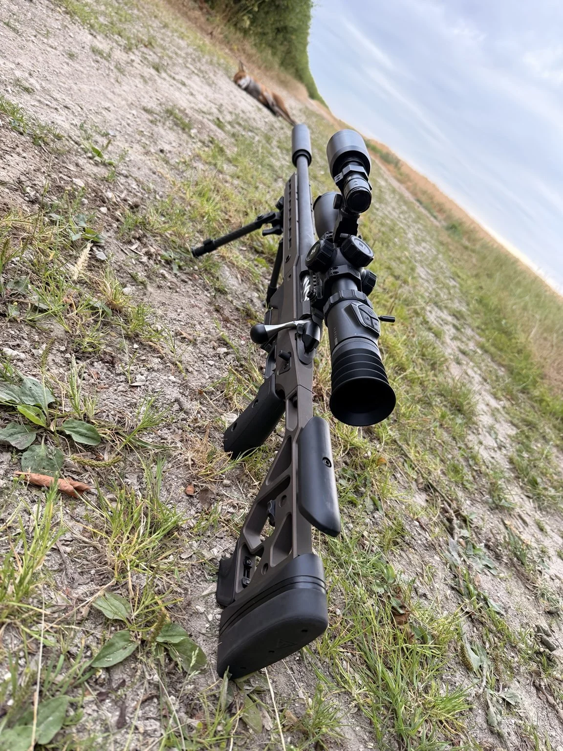 Rifle with scope resting on dirt and grass terrain, with an animal lying in the background and overcast sky