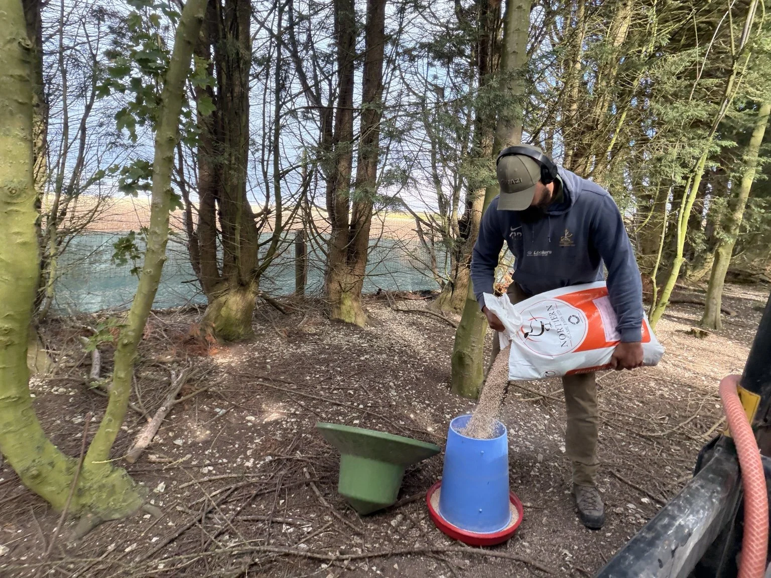 A man wearing a jacket, baseball cap, and headphones is pouring a bag of animal food into a blue feeding container in a wooded area.