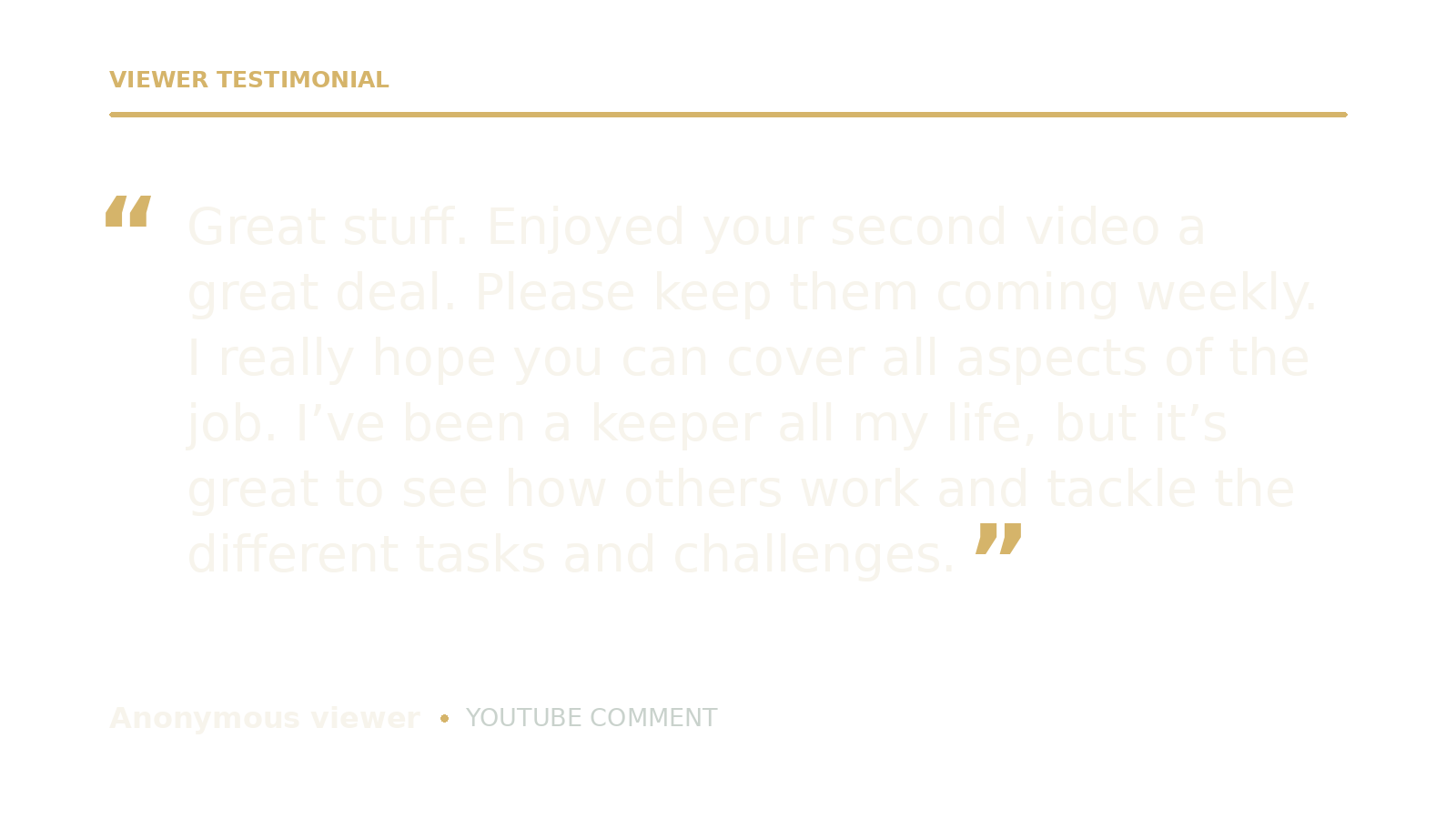 Viewer testimonial quote about a YouTube comment praising a video and asking for more.