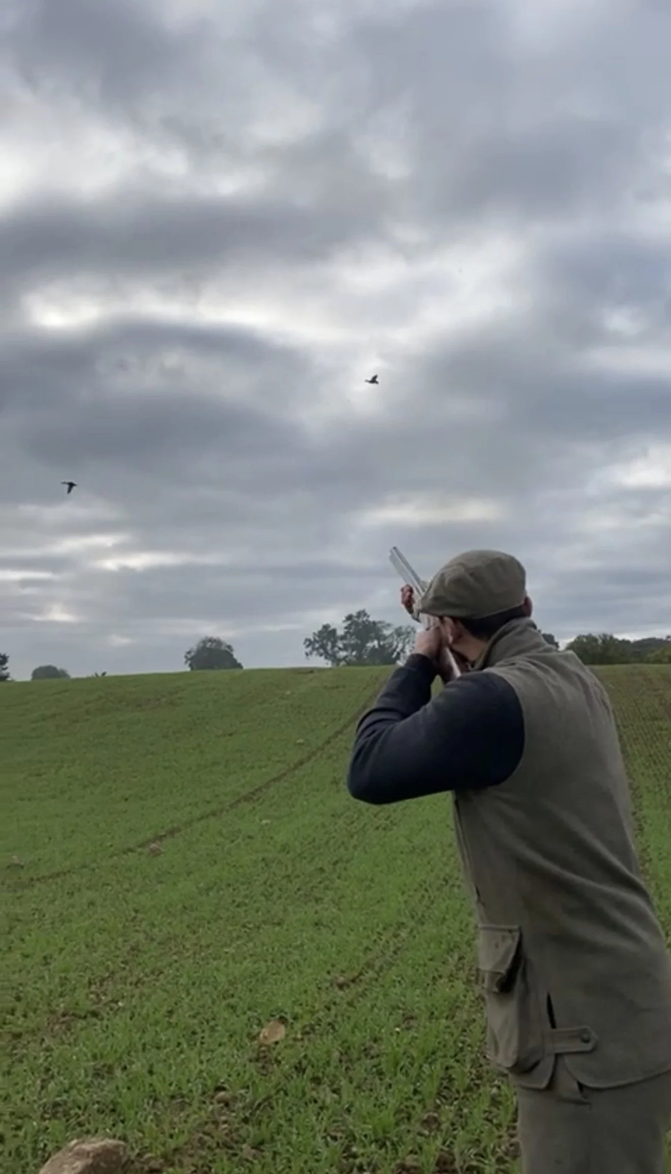 A person in outdoor clothing aiming a rifle in a grassy field with cloudy skies above and two birds flying nearby.