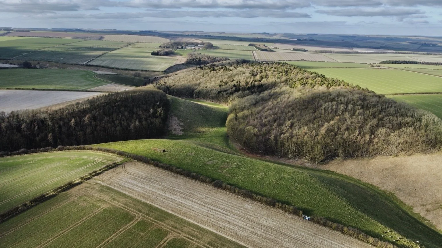 Aerial view of rolling green and brown farmland with patchy trees, fields, and some farm equipment under cloudy sky.