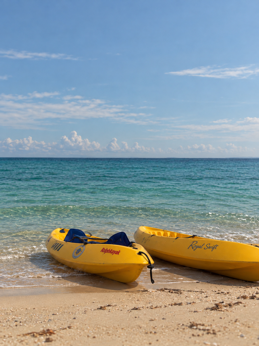 Kayaks amarillos junto al mar.png