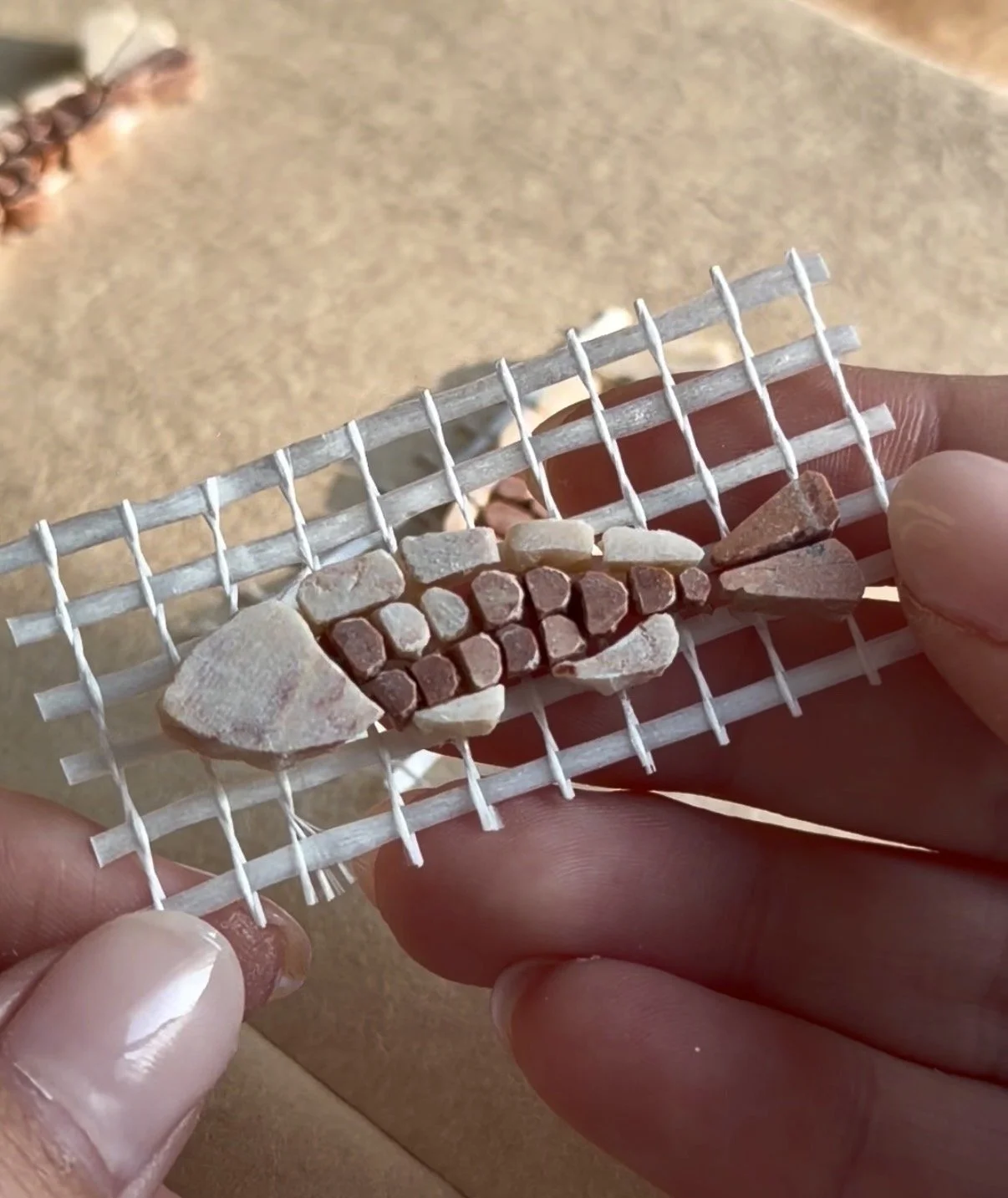 Hand holding a small white plastic grid with tiny stones and rocks placed on it, with a sandy surface in the background.