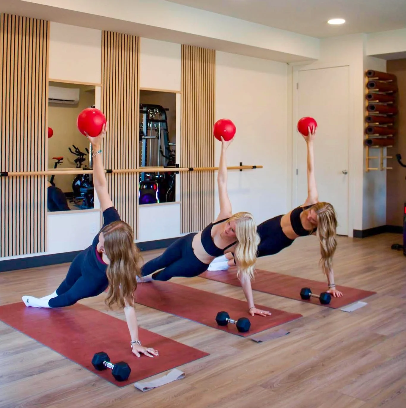 Two women doing yoga in a fitness studio, each holding a red exercise ball with one hand and supporting themselves on a yoga mat with their other hand and feet. They are in a plank position with one arm raised, engaging in an arm and core workout.