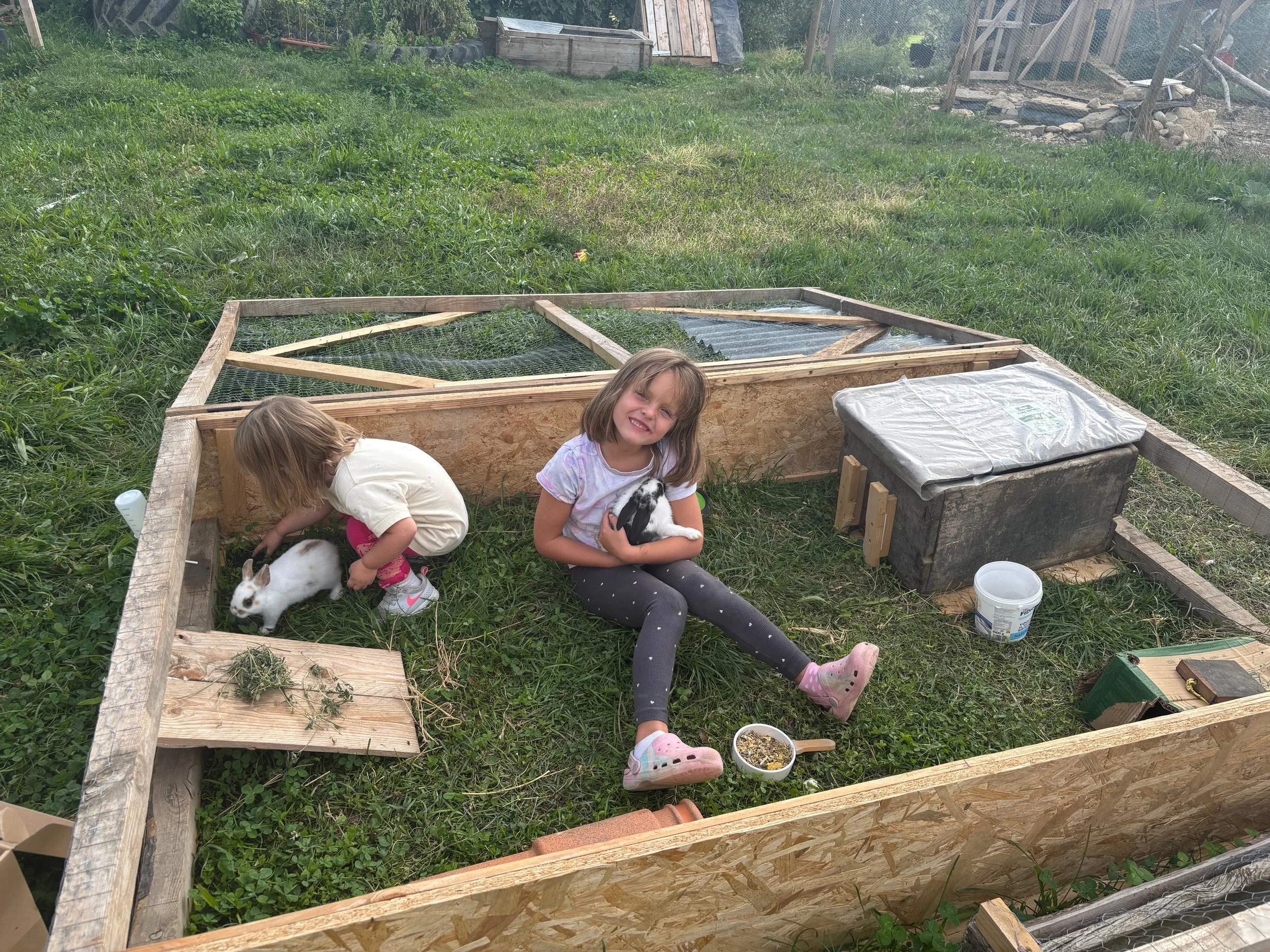 Two young girls working on building a rabbit hutch in a grassy backyard, with one girl smiling holding a rabbit and the other girl crouching near a rabbit. There is a partially constructed wooden frame for the hutch and various gardening and construction items around.