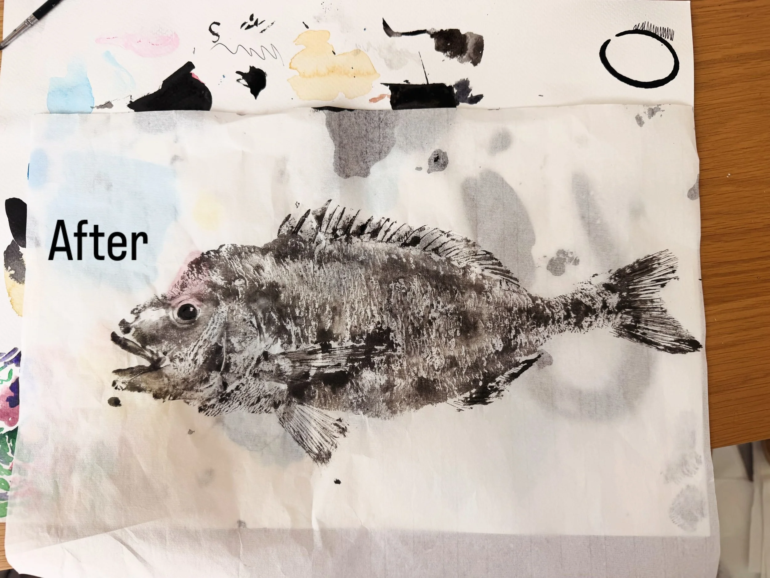 Before and After (I also spilled ink everywhere..) 🐟🖋️🫟

#fishprinting #dorade #oceanart #gyotaku