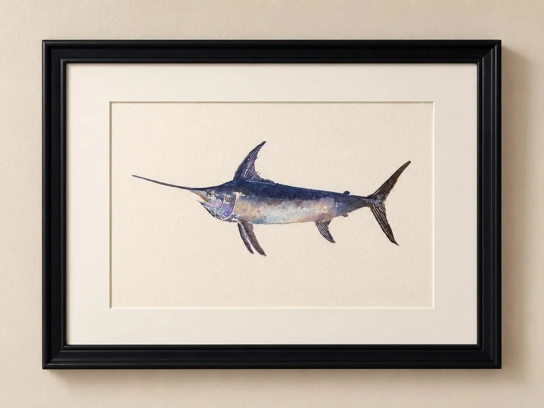 🔹Xiphias gladius🐟
▫️SWORDFISH🗡️
 
🟩IUCN status: least concern 

✨Mediterranean Collection✨

#marineart #swordfish