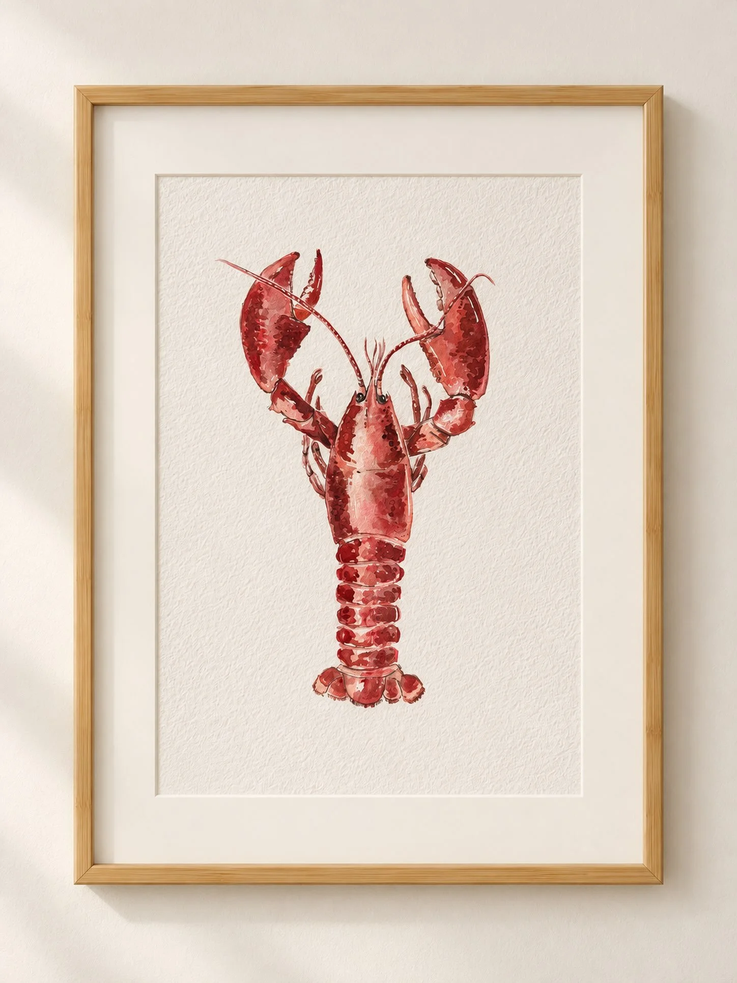 🔹Homarus americanus
▫️AMERICAN LOBSTER🦞

🟩IUCN status: Least concern 

#marineart #lobster #newenglandart #lobsterart