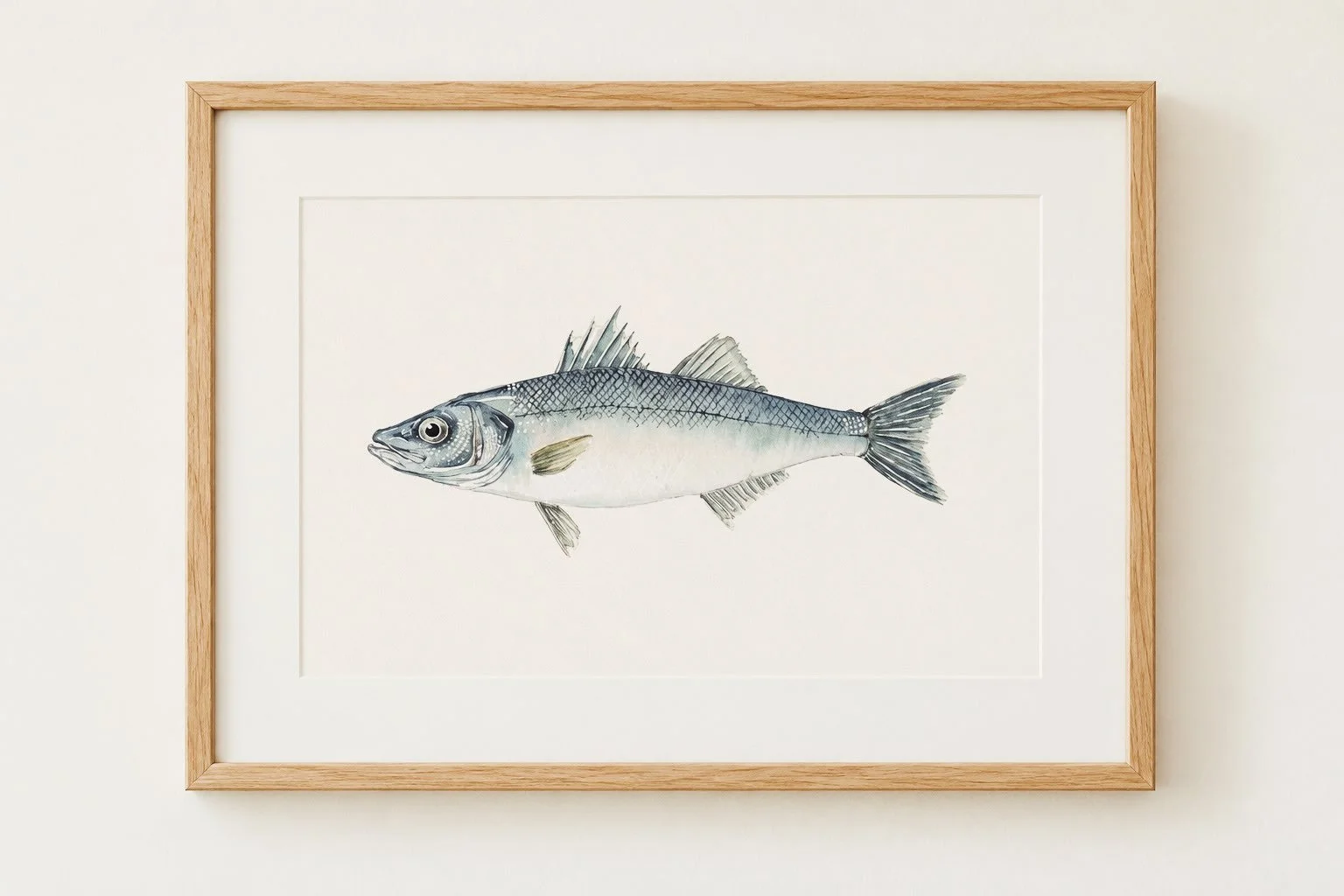 🔹Dicentrarchus labrax
▫️EUROPEAN SEABASS 🐟

🟩IUCN Status: Near Threatened 

✨Mediterranean Collection✨

#marineart #fishart #marineconservation